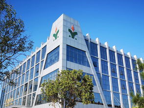 罗欣集团
