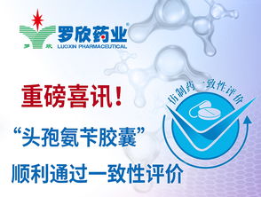 罗欣集团