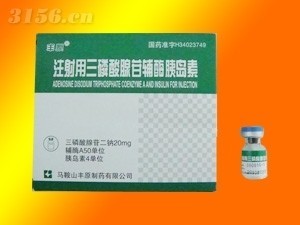 【注射用三磷酸腺苷辅酶胰岛素】最新招商|代理|厂家|批发|价格|电话|独家
